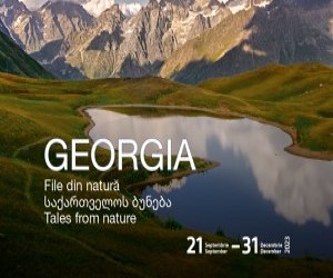 Georgia - File din natura
